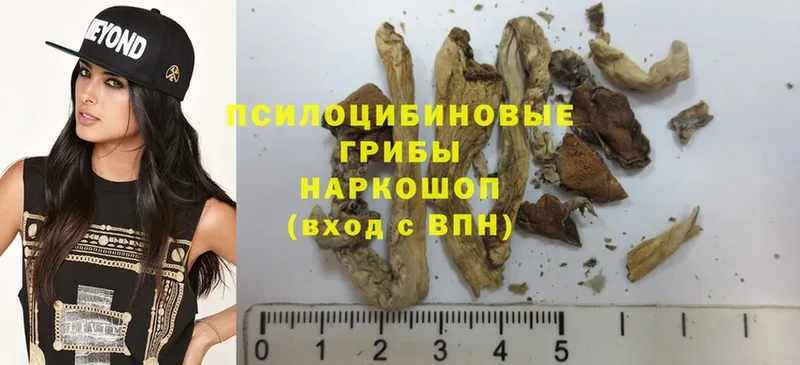 shop какой сайт  Морозовск  Галлюциногенные грибы MAGIC MUSHROOMS  наркотики 